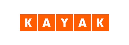 NetStorming logo